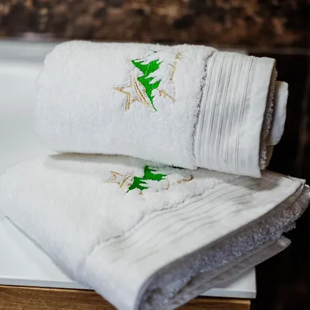 Bosanska Zvijezda Villa